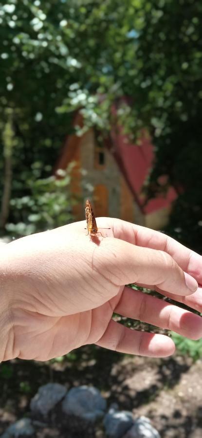 Crkvine Cottage Kolašin Εξωτερικό φωτογραφία